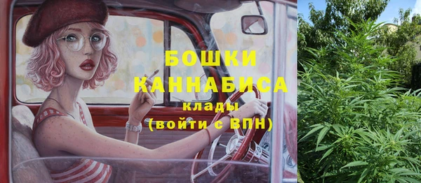 кокс Корсаков