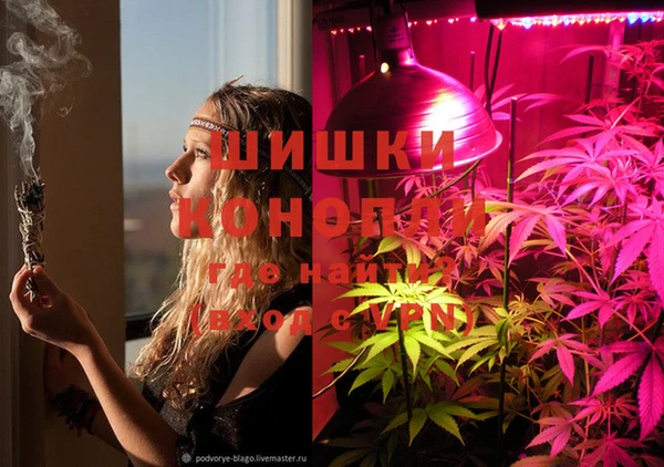 кокс Корсаков